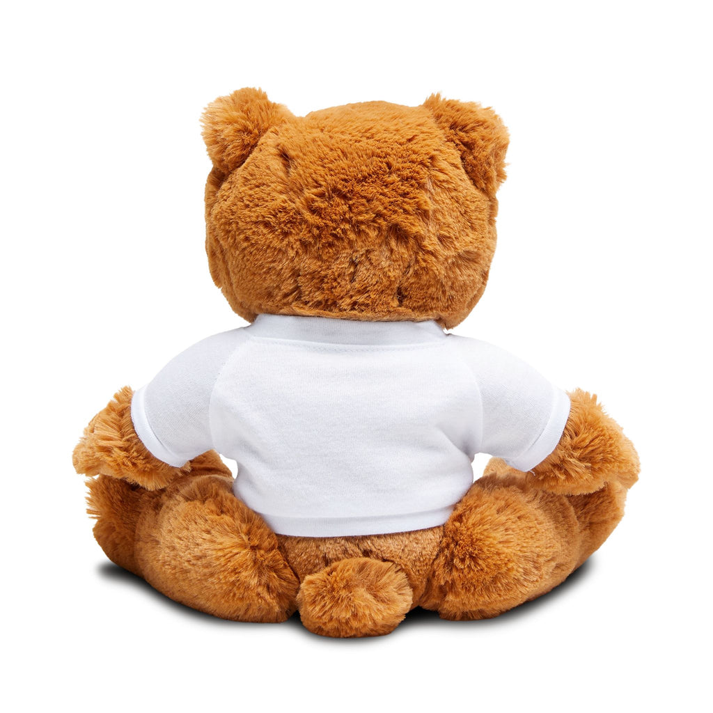 Class of 2026 Teddy Bear with T-Shirt