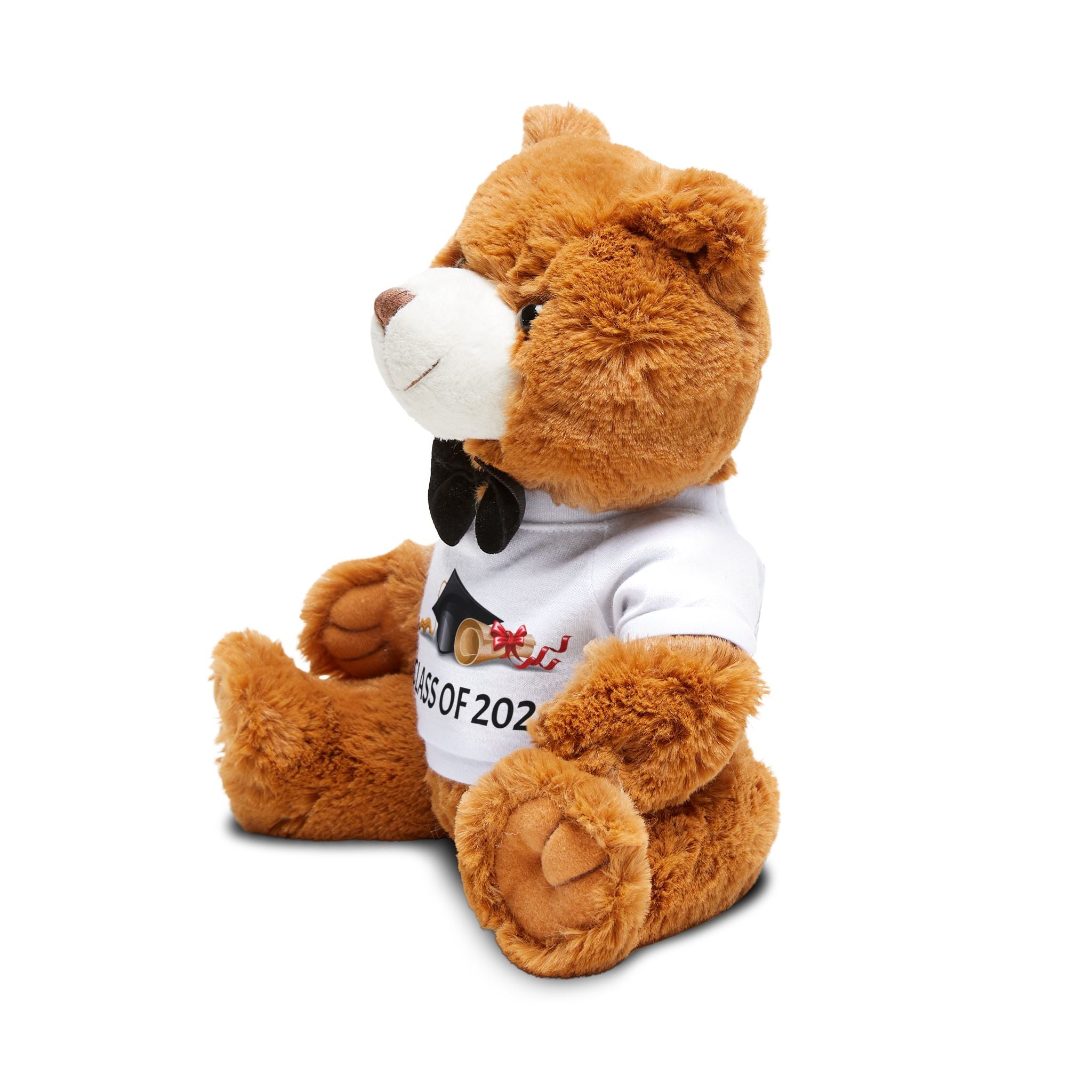 Class of 2026 Teddy Bear with T-Shirt