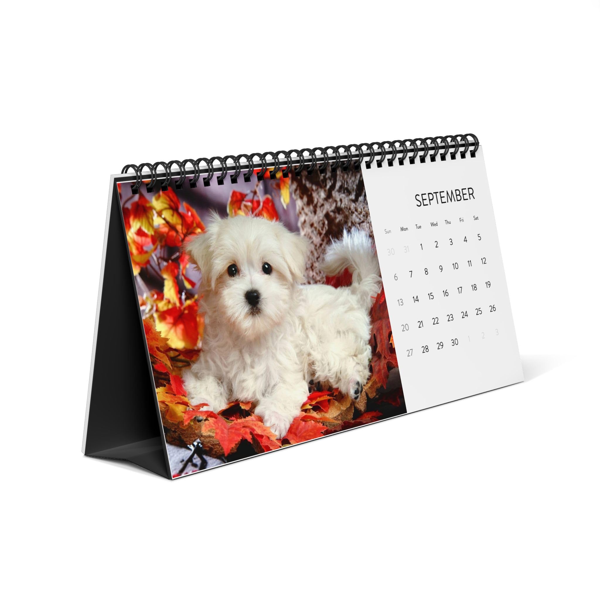 Puppies & Kittens Desktop Calendar 2026 | Spiral Desk Calendar