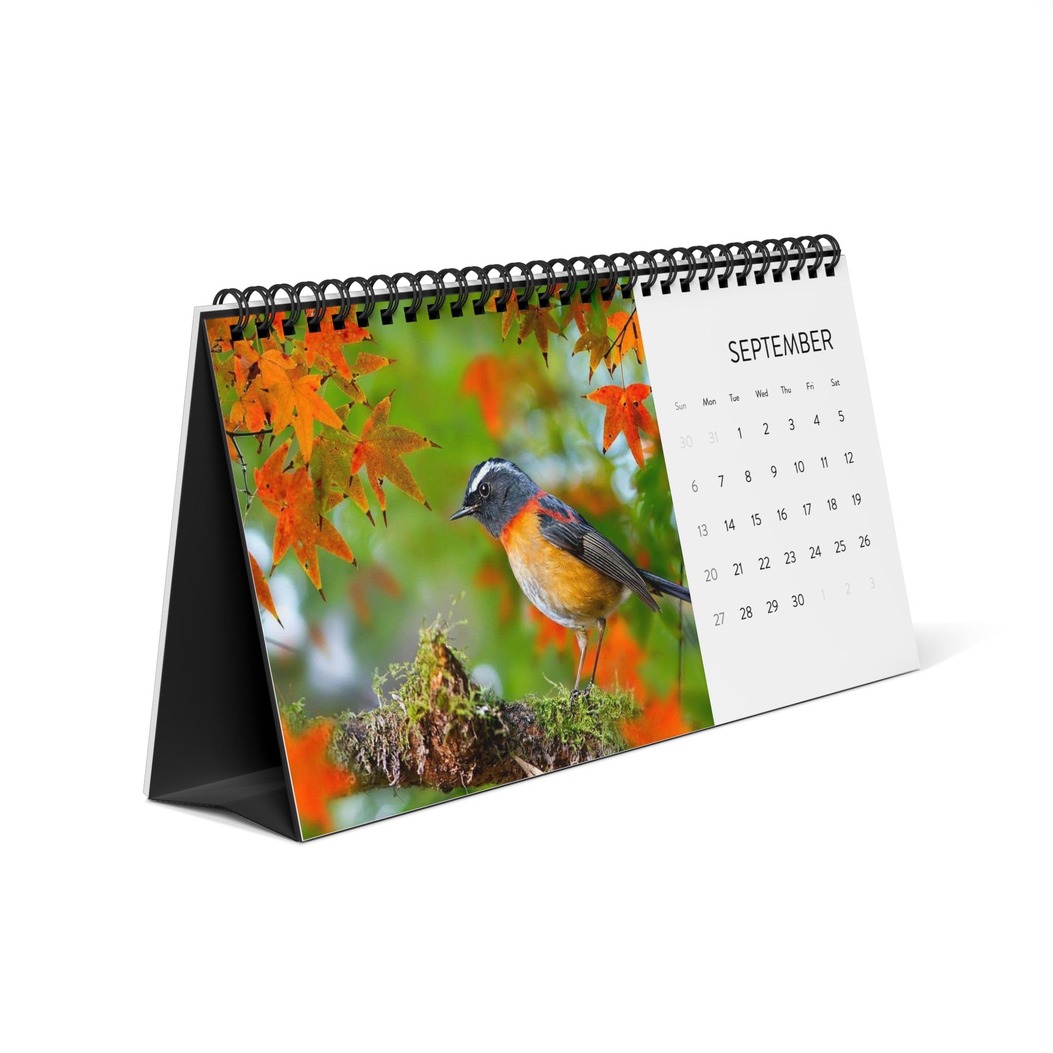 Majestic Birds desktop calendar