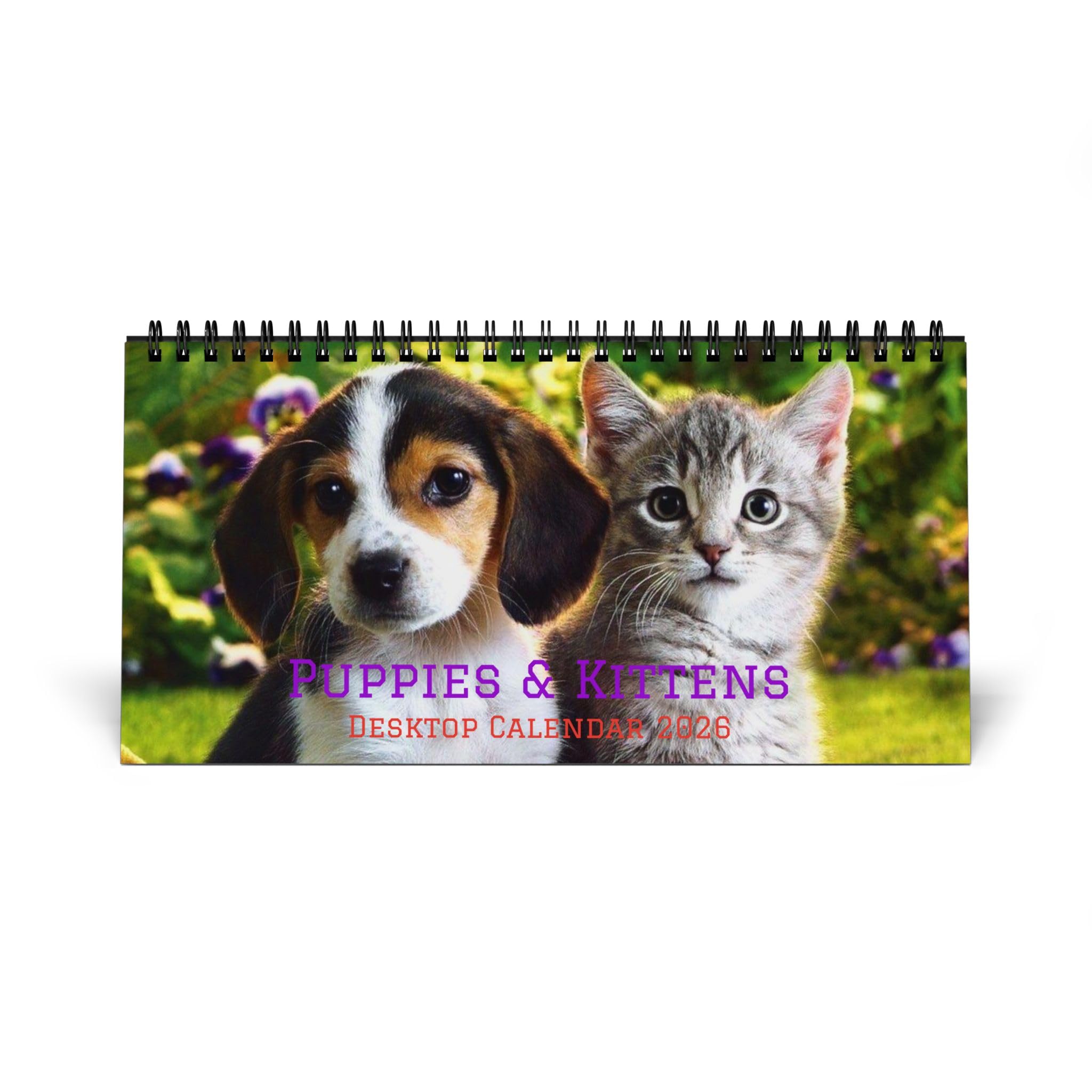 Puppies & Kittens Desktop Calendar 2026 | Spiral Desk Calendar