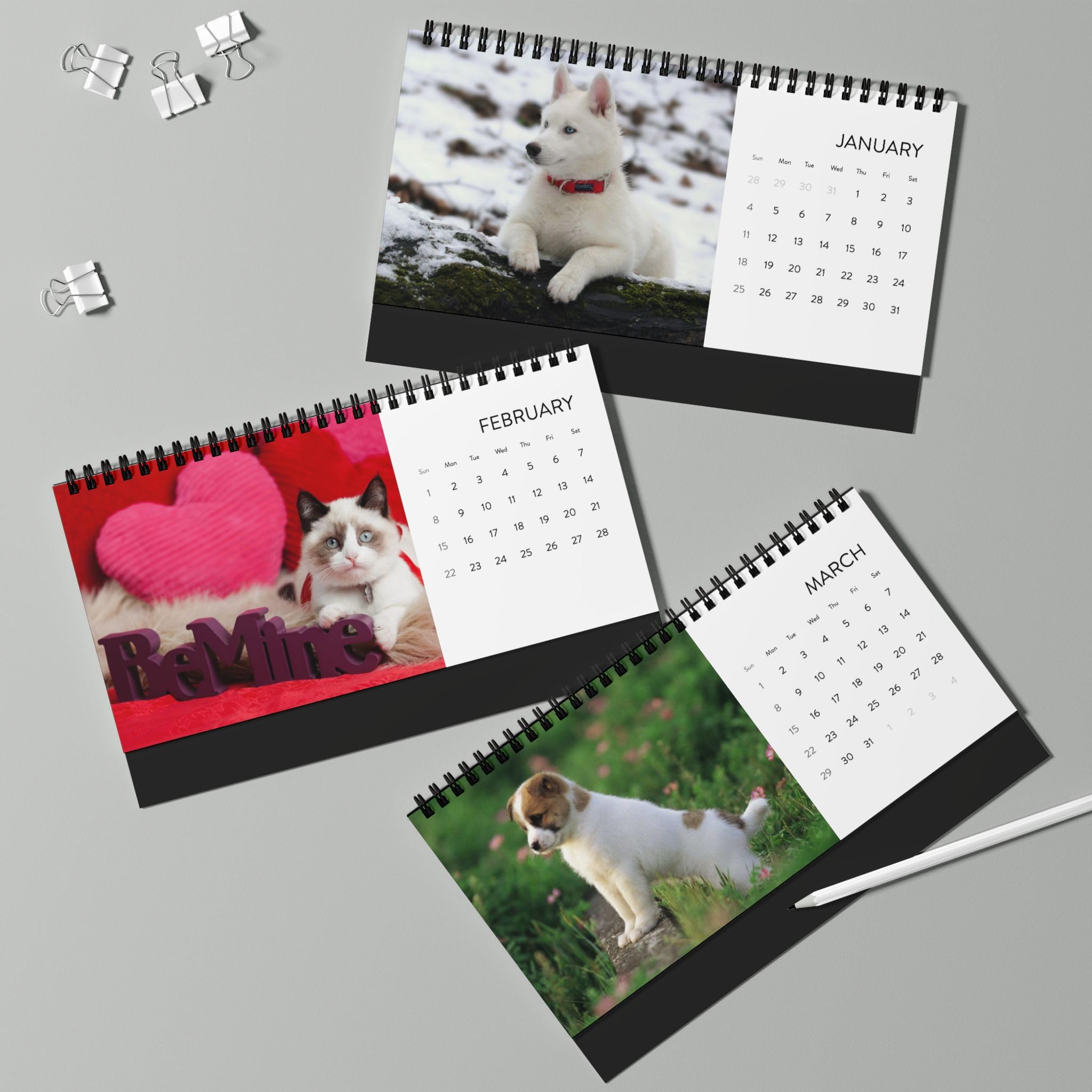 Puppies & Kittens Desktop Calendar 2026 | Spiral Desk Calendar